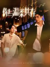 《你与温柔共存》:在纷扰世界中寻找爱的答案