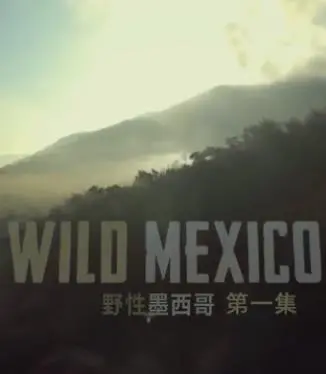 《野性墨西哥》:沉浸式体验墨西哥自然奇观与生命律动
