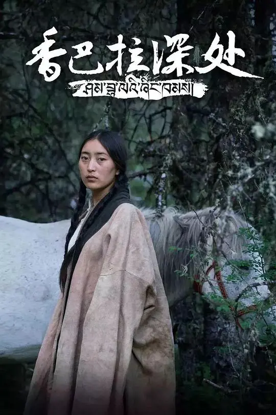 《香巴拉深处》：探寻秘境，感受信仰与人性的光辉