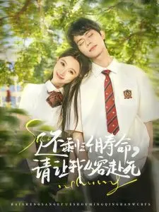 生命倒计时：《还剩三个月寿命，请让我从容赴死》的治愈之旅