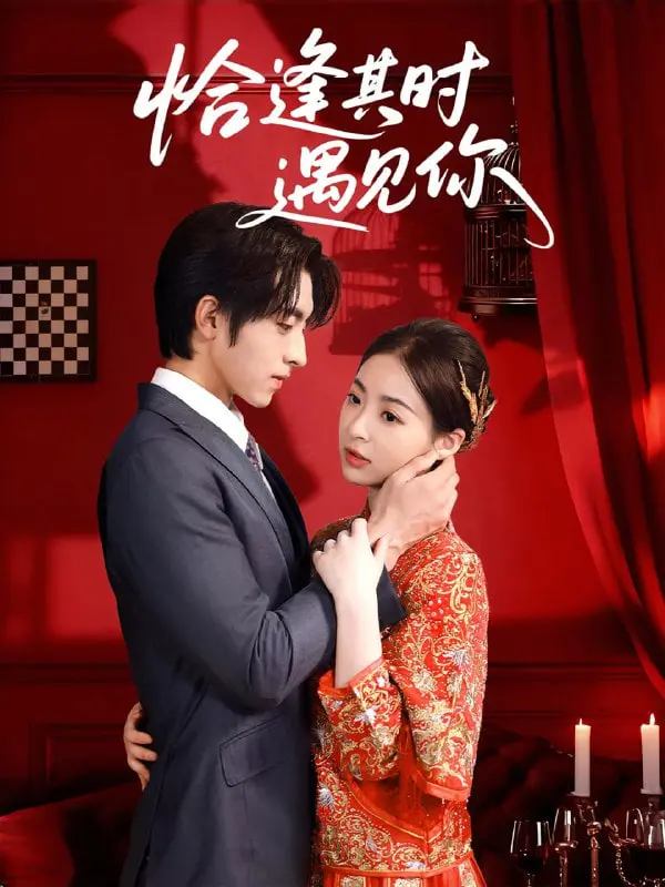 《恰逢其时遇见你》：穿越时光的浪漫与现实，当缘分碰撞人生轨迹